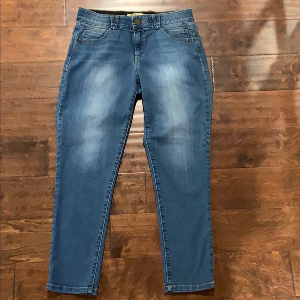 Democracy Absolution Skinny Jeans